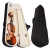 Import Natural Solid Wood Satin Acoustic Starter Kit 4/4 Full Size Violin from China