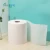 Import New cheap gift toilet paper small roll toilet tissue paper with logo virgin pulp toilet paper rolls from China