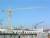Import New China Qtz80 Self-erecting Tower Crane from China