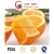 Import New Crop Delicious Navel Orange (56-64-72/15kg carton) from China