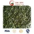 Import New Crop G. W. S. Pumpkin Seeds Kernels from China