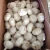 Import New Crop Garlic Chinese fresh garlic white garlic price from China