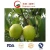 Import New Crop High Quality Fresh Ya Pear Fresh Pear Asian Pear (28/32/36/40/44) from China