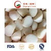 New Crop IQF Frozen Taro From China