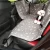 Import New design car seats dog mat Pet Hammock Dog Car Seat Cover with great price from China