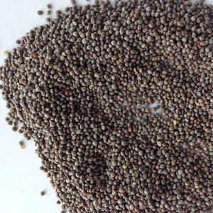 new high quality Low pesticide residue Dried Perilla Seed