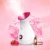 Import New promotion Beauty spa nano care facial steamer With Good Service from China