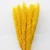 Import Nordic style home decors ribbons packing perfume long stems dried Pampas grass flower  bouquet in vase arrangement from China