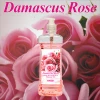 OEM spa salon pack body care massage oil Rose / Ginger / Jasmine / Almond / Chamomile