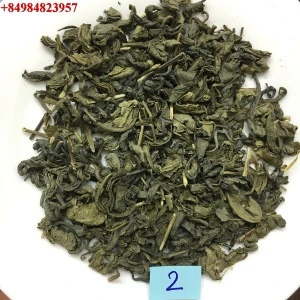 OP Green Tea Thai Nguyen The best Competitive Price for tea packaging factory whatapp +84984823957