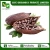 Import Organic Cocoa Seed from India