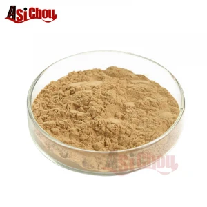 Organic Lion&#x27;s Mane Mushroom Extract , Hericium Erinaceus Extract Powder
