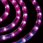 Outdoor Decoration  Christmas Led Rope Light Halloween Patio Garden String light Festival Led Purple Rope Light Led