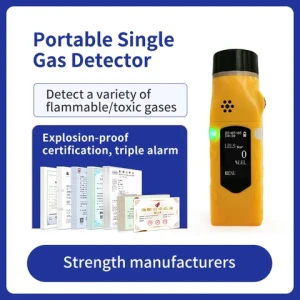 P100 New Arrival Portable Single Gas Detector Carbon Monoxide Co Portable Gas Detector