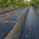 pe agriculture perforated plastic mulch film weed barrier plastic mulch layer