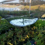 Plastic Anti Hail Protection Net for Agriculture