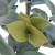 Plastic Small Bonsai Tree Zamioculca Artificial Decorative Money Leaf Plants