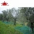 Import Polyethylene plastic high quality  olive harvest net from China