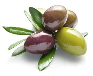 Premium grade fresh rosemary Olives Available for Sale .Best Price