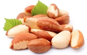 premium quality Shelled and Inshell Brazil Nuts - 100% Natural Grade 1
