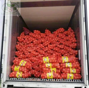 Premium selection factory price colourful bell pepper