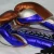 Import Professional Boxing Gloves Orange , Blue & Metallic Silver color from Pakistan