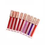 Professional  lasting moisturizing cosmetics makeup set lipstick red lip gloss matte lipstick waterproof