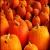 Import Pure and Natural Wholesale Pumpkin/Fresh Pumpkin from China