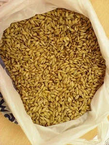 Quality - from Ukraine & Russian - to 12000 tons -  fodder barley - Animal feed barley