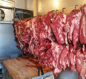 Quality Frozen Boneless Beef/Buffalo Meat