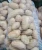 Import Quality Potato 2018 (Holland Seed, 100 Gram Plus) Pakistan from Pakistan