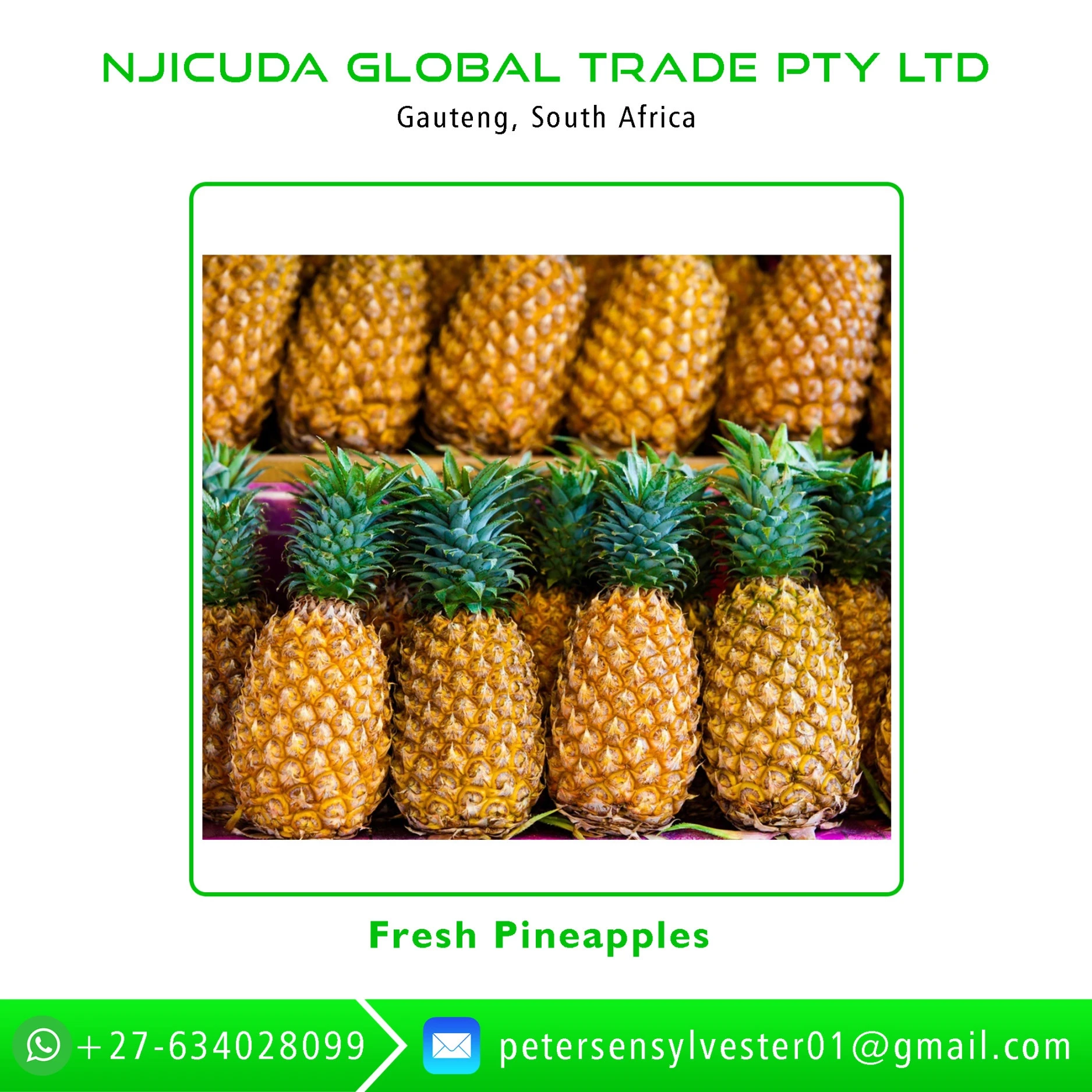 Reasonable Price Widely Demanded Fresh Pineapple