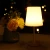 Import Rechargeable remote control led table light shade modern touch table lamp from China