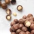 Import Rich In Vitamin From Vietnamese Roasted Macadamia nuts from China
