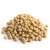 Import Rich Quality Top Grade Soybeans for Sale from Ukraine