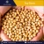 Rich Quality Top Grade Soybeans for Sale