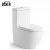 Import S8831 Bathroom p-trap 180mm s-trap 250mm back to wall washdown flushing one piece toilet seat from China