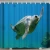 Import Shower Hippo 3D Printed Shower Curtain Cute Cartoon Animal Design Waterproof Bath Curtain For Bathroom Decor With 12 Hooks from China