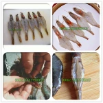 shrimp open back machine shrimp processing machine