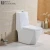 Import Siphonic washdown one piece wc toilets ceramic hotel villa bathroom wc toilet sanitary ware from China