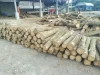 Thailand rubber wood