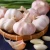 Import The Weight Is 1Kg 5Kg 10Kg And The Size Is 4-6.5 Cm Kitchen Fresh Garlic China from China