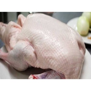 Top Quality Delicious Fresh Frozen Chicken Poultry Halal