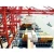 Import TPD Cheapest maritime transport sea Cargo Agents Special Line from China to the USA from China