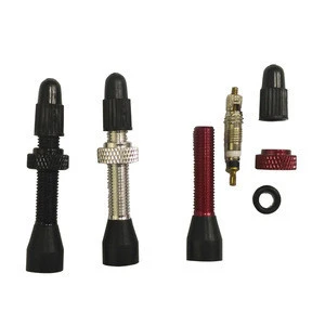 Tubeless valve for bicycle wheel