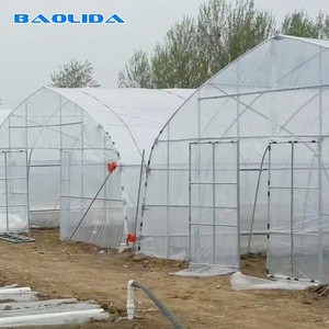 Tunnel Greenhouse Basic Farming Equipments agricultural machinery