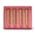 Import Vendor Supply Glitter Surface Rigid Box 4 Pack Top Show Colors Fairy Dust Women Matte Lipstick Set from China