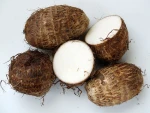 VIET NAM FRESH TARO !!! BEST PRICE 2020
