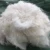 Import viscose tow 0.6D-3D bright  viscose staple fiber for cloth from China