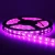 Import Waterproof 12v Warm white 4in1 rgbw 5050 led strip light from China